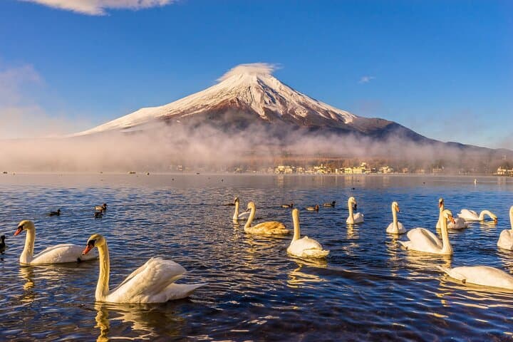 Mt Fuji Kawaguchiko & Yamanaka Onsen Day Tour from Tokyo — Photo Spots, Lakeside Walks, and Oshino Hakkai photo 6