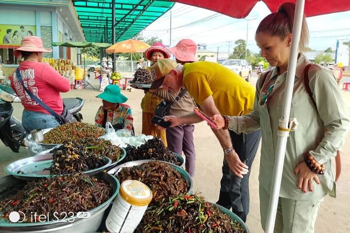 Siem Reap 3-Day Temple & Culture Tour from Phnom Penh photo 4