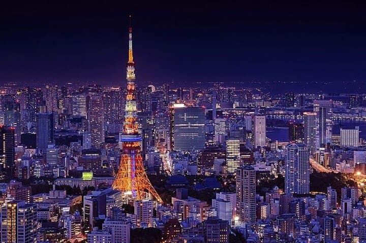 Private Tokyo Day: Ashikaga Flowers Park or Kawagoe — City Sights & Garden Escape