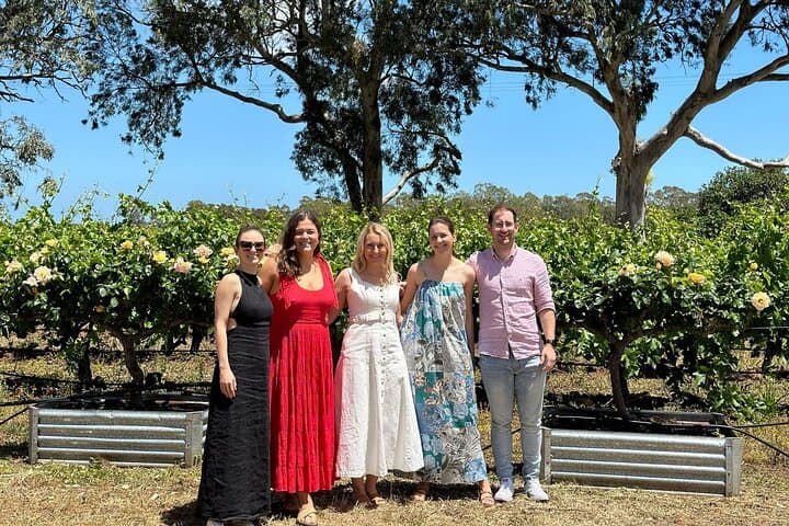 McLaren Vale Wine Tour with d'Arenberg Cube: 4 Tastings & Lunch photo 4