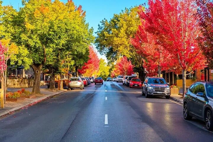 McLaren Vale and Hahndorf Wine Tour: Full-Day Tastings & Lunch from Adelaide