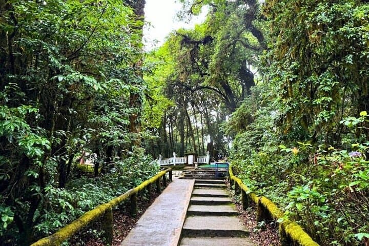 Hike Pha Dok Siew on Doi Inthanon: Waterfalls, Hill‑Tribe Coffee & Thailand’s Highest Peak photo 6