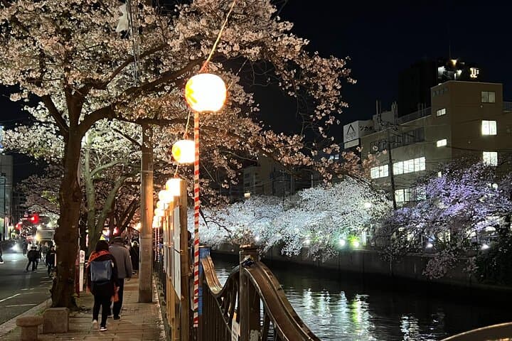 Minato Mirai Fireworks & Cherry Blossom Boat Cruise — Yokohama Port Viewing photo 1
