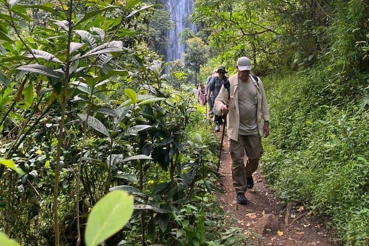 Materuni Waterfall to Kikuletwa (Chemka) Hot Springs: Full-Day Hike and Swim from Moshi photo 4