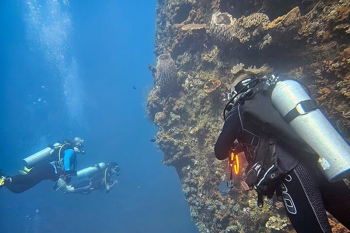 SSI Nitrox Certification and Liberty Wreck Dives in Tulamben, Bali photo 2