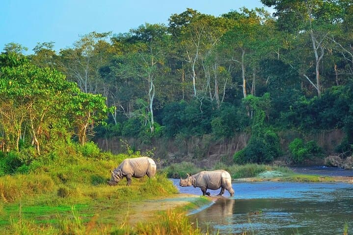 Chitwan Jungle Safari: 2-Night, 3-Day All-Inclusive Wildlife Package from Kathmandu