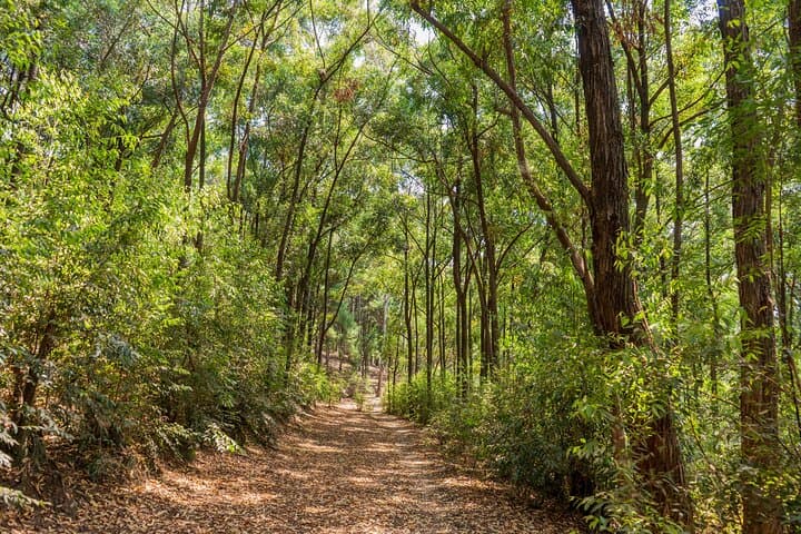 Mount Jali Hike and Archery — Scenic Kigali Day Hike with Local Guide photo 6