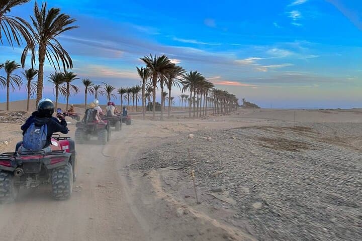 Marsa Alam Quad Bike Safari & Camel Ride — Eastern Desert Adventure