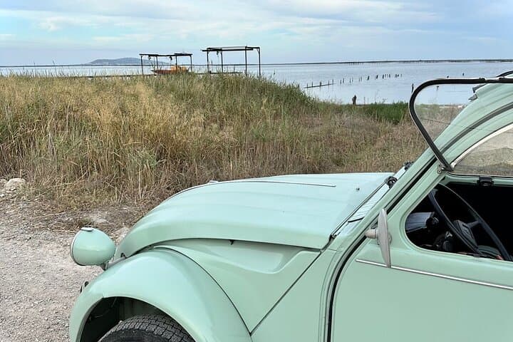 Citroën 2CV Producer Tours in Brittany — Shellfish, Honey & Aromatic Farms photo 1