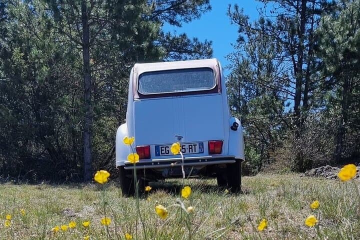 Citroën 2CV Producer Tours in Brittany — Shellfish, Honey & Aromatic Farms photo 4