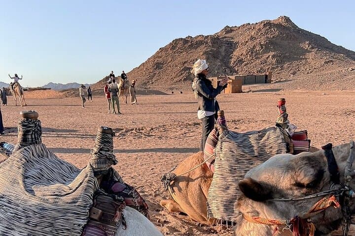 3-Hour ATV Quad Adventure from Hurghada — Dune Ride & Bedouin Tea photo 2