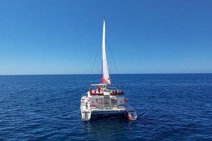 Four-Hour Luxurious Catamaran Cruise from Puerto Rico Gran Canaria photo 5