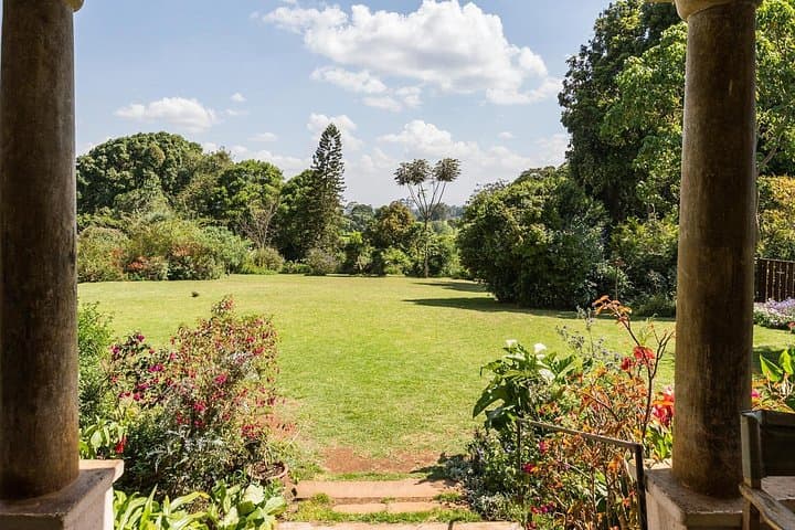 Kiambethu Tea Farm Tour & Lunch from Nairobi — Estate Walk, Tea Tasting and Forest Stroll photo 4