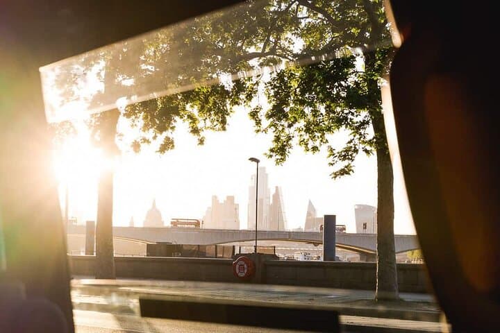 Iconic London Black Cab Tour: Big Sights in 4 Hours photo 6