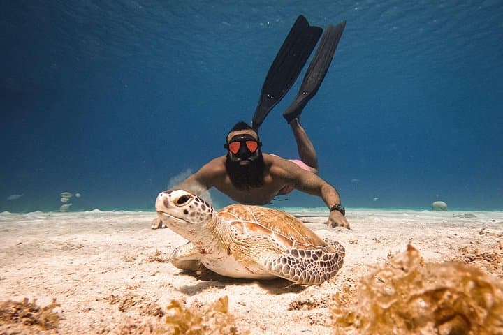 Seabob with Sea Turtles at Playa Piskado — Curaçao Small‑Group Underwater Jet Ski Tour