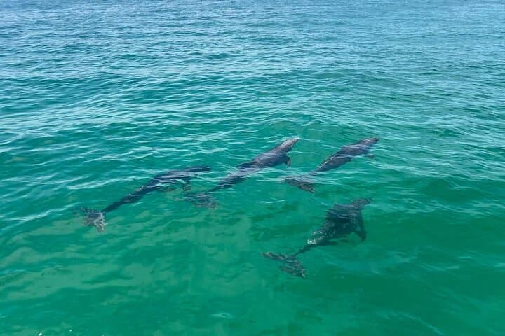 Crab Island Pontoon Rental — 2‑Hour Emerald Coast Sandbar Cruise