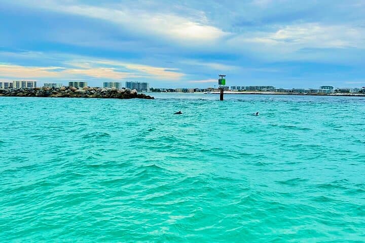 Crab Island Pontoon Rental — 2‑Hour Emerald Coast Sandbar Cruise photo 2