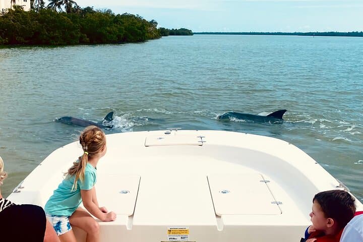 Marco Island & 10,000 Islands Dolphin Sightseeing Boat Tour