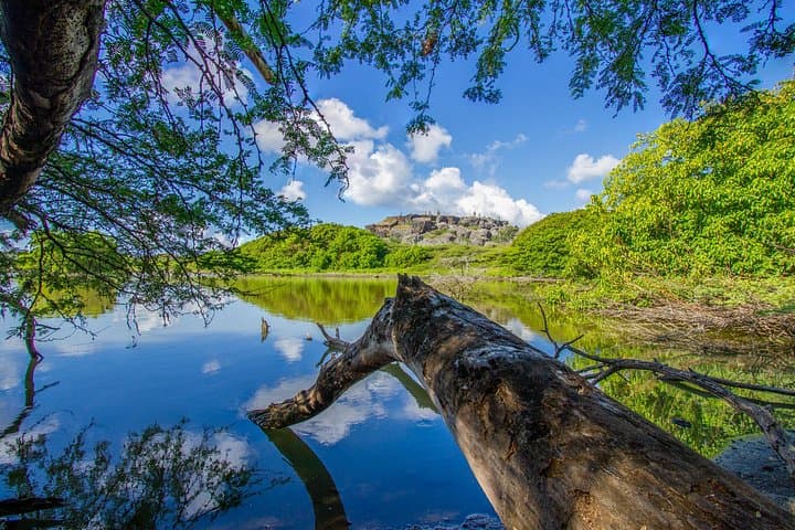 Bonaire Northern Private Island Tour & Snorkel Photo Shoot photo 1