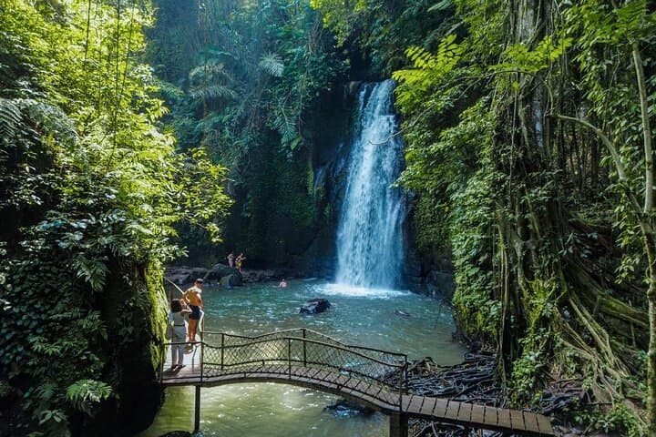 Ubud Private Tour: Tegallalang, Tirta Empul & Cultural Workshops photo 2
