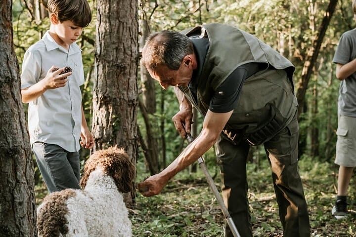 Alba Truffle Hunt — Authentic Piedmont Foraging and Tasting Experience photo 5
