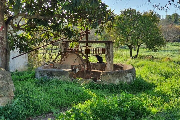 Half-Day Jeep Safari in the Algarve Mountains — Alte Springs, Paderne Castle & Rural Quinta photo 4