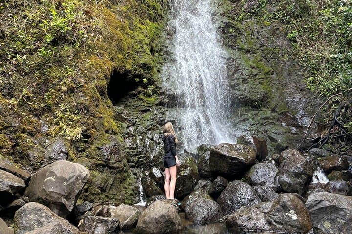 Private Circle Island Oahu Tour — Custom Full-Day Coastal Drive & Culture photo 2
