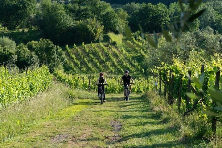 Chianti E‑Bike & Wine Tasting from Lucca — Ride to Vinci and Vineyards