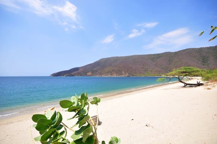 Full-Day Tour to Bahía Concha Beach in Tayrona National Park photo 4