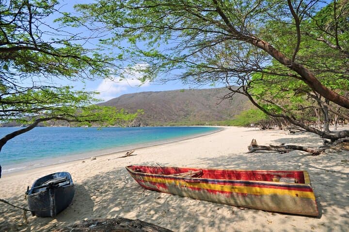 Full-Day Tour to Bahía Concha Beach in Tayrona National Park photo 5