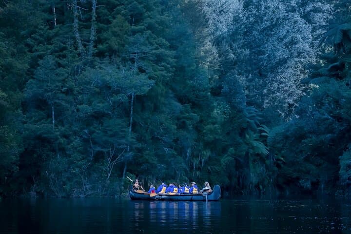 Tauranga Evening Big Kanu Glowworm Tour on Lake McLaren