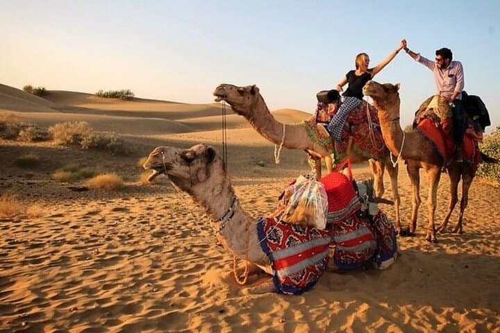 Red Dunes Desert Safari: Dune Bashing, Camel Ride, BBQ & Live Shows photo 4