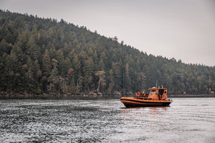 Private Open-Boat Whale Watching from Nanaimo — Salish Sea Wildlife Cruise