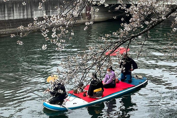 Minato Mirai Fireworks & Cherry Blossom Boat Cruise — Yokohama Port Viewing photo 4