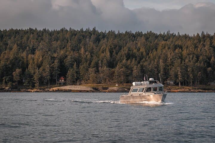 Private Whale Watching in Nanaimo: Salish Sea Wildlife Cruise