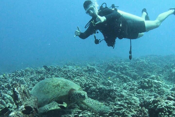 Private Introductory Scuba Diving in Oahu — Beginner Beach or Boat Dives photo 6