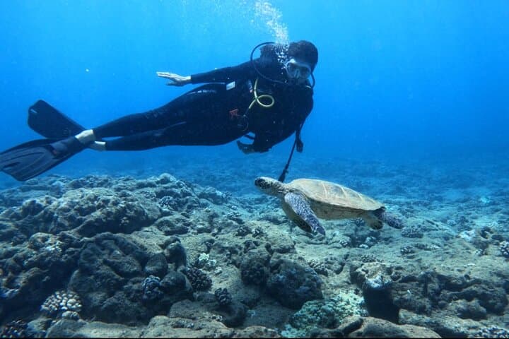 Private Introductory Scuba Diving in Oahu — Beginner Beach or Boat Dives photo 2