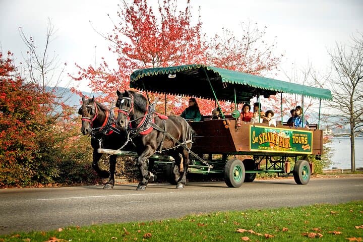 Stanley Park Horse-Drawn Carriage Tour — 1-Hour Guided Ride in Vancouver photo 5