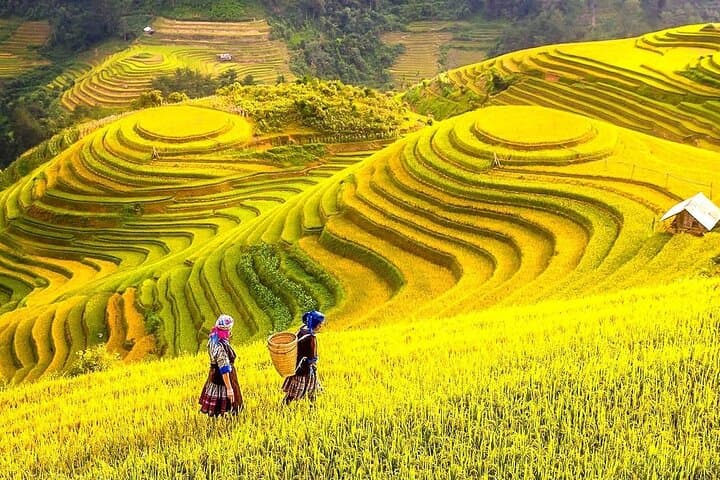 6-Day Ha Long Bay, Sapa & Hanoi Private Expedition photo 5