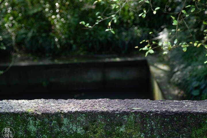 Tofu Ancient Trail Hiking from Shanghai: Day Trip by Bullet Train to Hangzhou