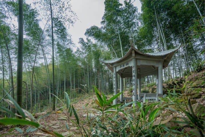 Tofu Ancient Trail Hiking from Shanghai: Day Trip by Bullet Train to Hangzhou photo 4