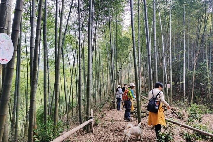 Tofu Ancient Trail Hiking from Shanghai: Day Trip by Bullet Train to Hangzhou photo 5
