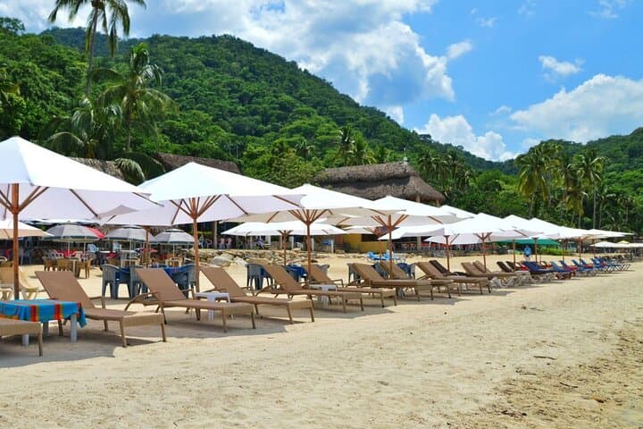 Half-Day Snorkel & Beach Day: Colomitos and Playa las Animas from Puerto Vallarta photo 6