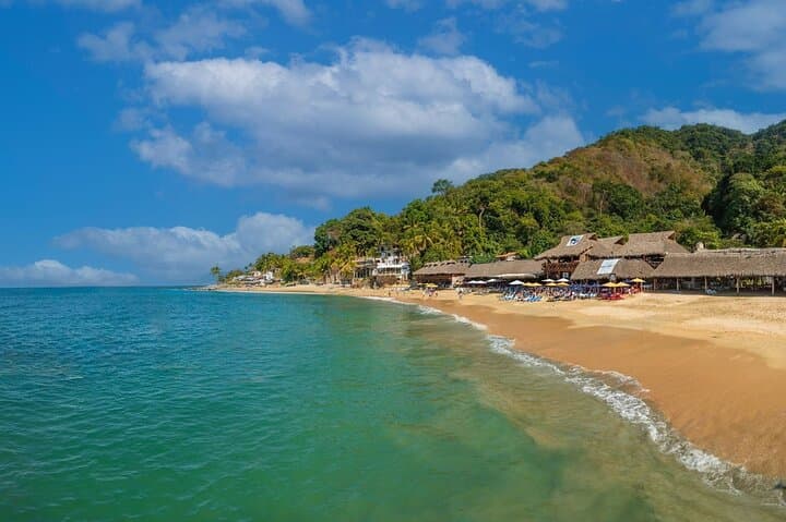 Half-Day Snorkel & Beach Day: Colomitos and Playa las Animas from Puerto Vallarta photo 5