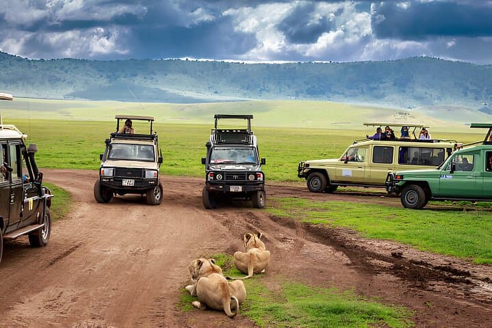 Inside Ngorongoro Crater: A Full-Day Safari from Arusha photo 3