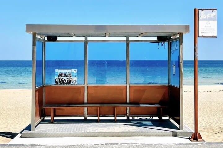 Private Day Tour from Seoul to Gangneung — Cherry Blossoms & K-Drama Filming Sites