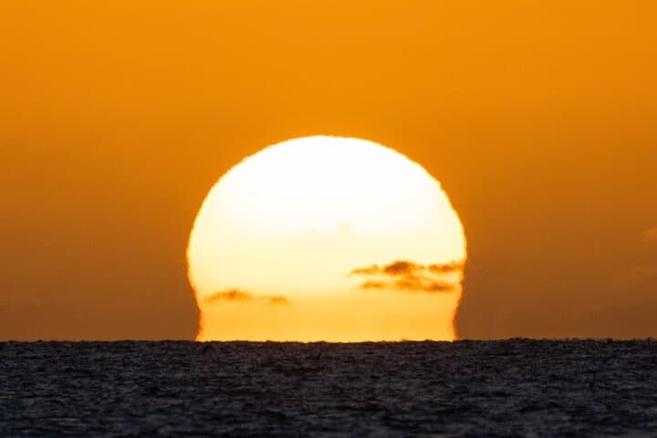 Moana Luxury Semi-Private Sunset Cruise: Oahu Whale Watching & Dolphin Encounters
