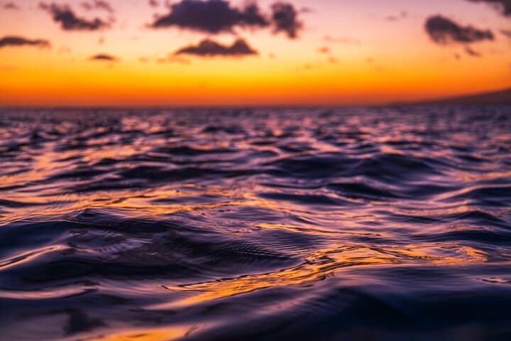 Moana Luxury Semi-Private Sunset Cruise: Oahu Whale Watching & Dolphin Encounters photo 2