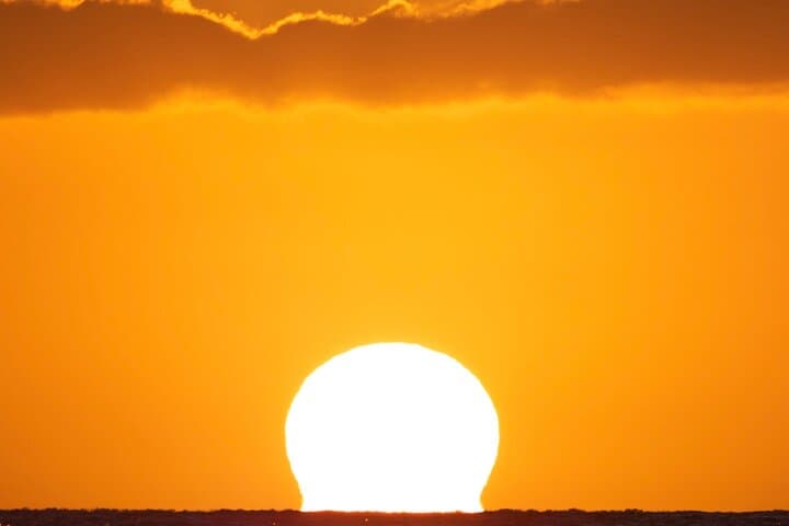 Moana Luxury Semi-Private Sunset Cruise: Oahu Whale Watching & Dolphin Encounters photo 4