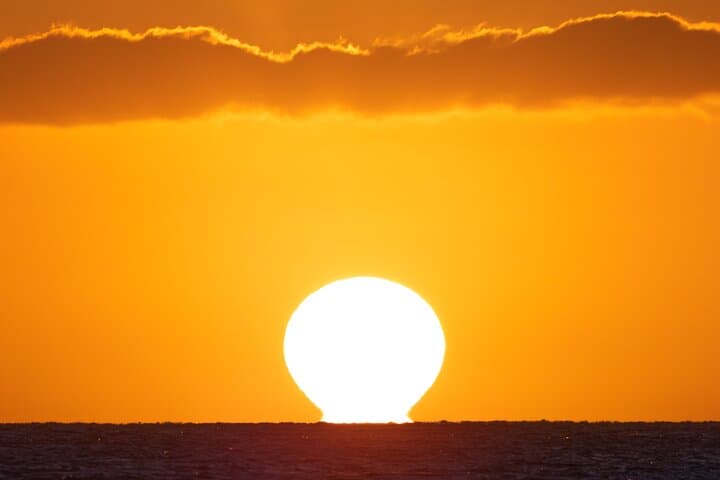 Moana Luxury Semi-Private Sunset Cruise: Oahu Whale Watching & Dolphin Encounters photo 5